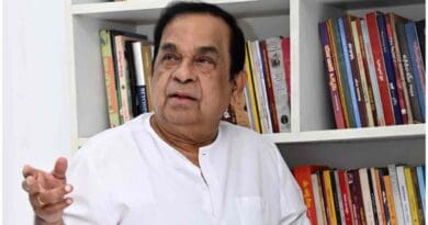 newsseals-brahmanandam