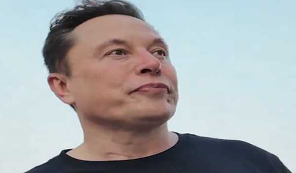 newsseals-elonmusk