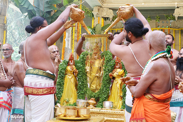 తిరుమలలో వైభవంగా కార్తీక వన భోజనం