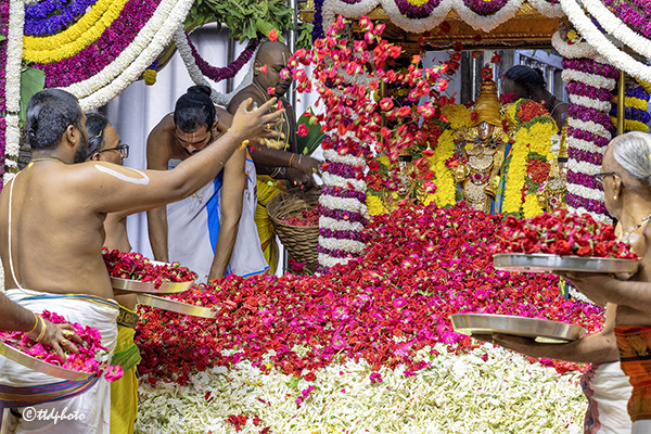 సప్తవర్ణ శోభితం శ్రీవారి పుష్పయాగం