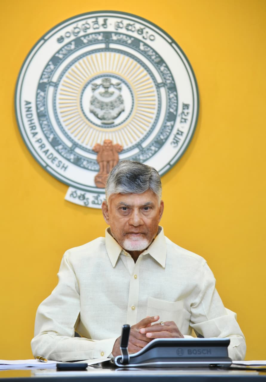 జిల్లా కలెక్టర్లే ప్రభుత్వానికి బ్రాండ్ అంబాసిడర్లు