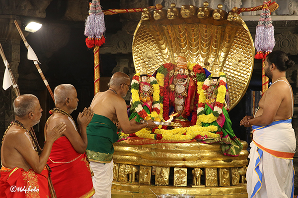 తిరుమ‌ల‌లో ఘ‌నంగా అధ్యయనోత్సవాలు