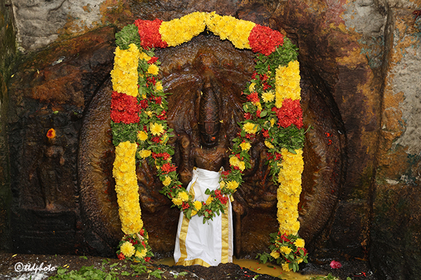 తిరుమలలో ఘనంగా చక్రతీర్థ ముక్కోటి