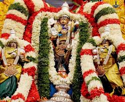 టీటీడీ స్థానికాల‌యాల్లో ప్రత్యేక కార్యక్రమాలు