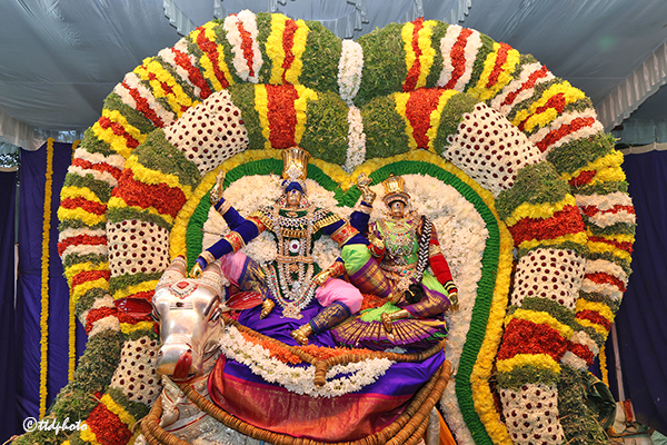 శ్రీ కపిలేశ్వర స్వామి బ్రహ్మోత్సవాలు