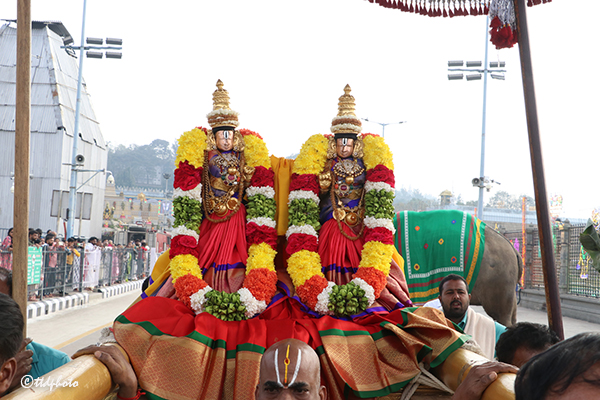 newsseals-PranayaKalahotsavam