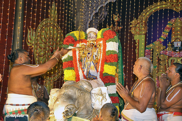 గజ వాహనంపై శ్రీ కల్యాణ వేంకటేశ్వరుడు