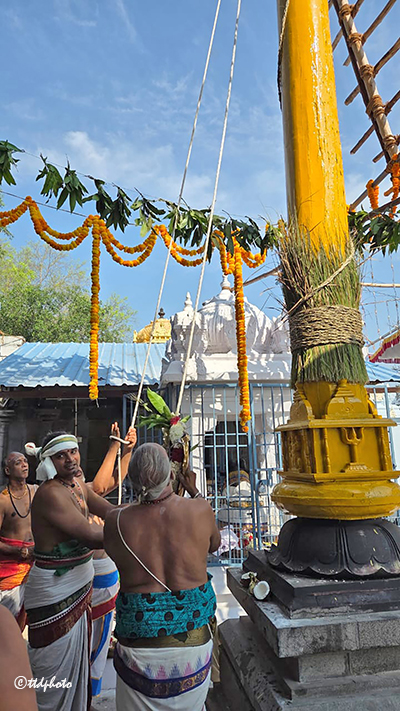 ఘ‌నంగా శ్రీ అగస్తీశ్వర స్వామి బ్రహ్మోత్సవాలు