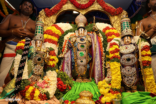 తెప్పపై శ్రీరామచంద్ర మూర్తి కటాక్షం