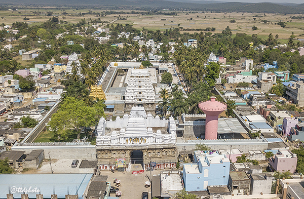 మే 01 నుండి శ్రీ వేద నారాయణ స్వామి బ్రహ్మత్సవాలు