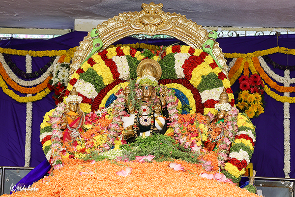వైభ‌వోపేతంగా ప‌త్ర పుష్ప యాగం