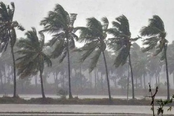 newsseals-HeavyRains