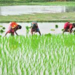 అన్న‌దాత‌ల‌కు రూ. 324.22 కోట్ల ఇన్‌పుట్ సబ్సిడీ