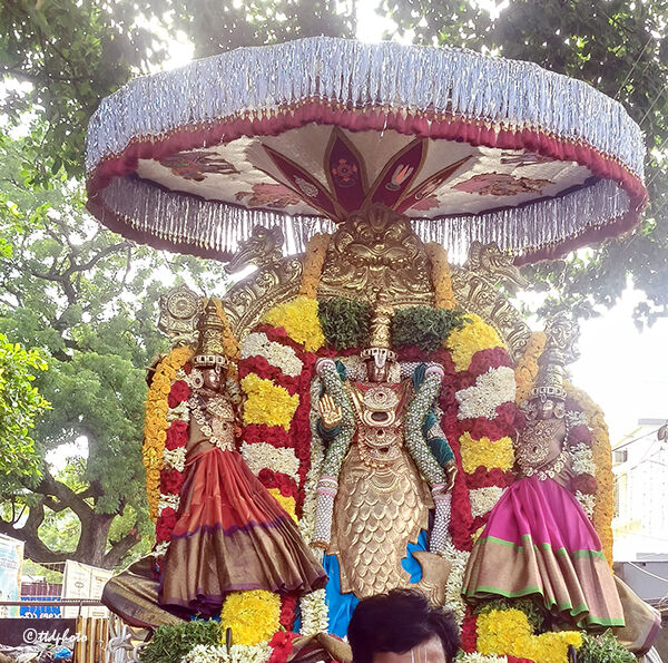 వైభవంగా శ్రీ సౌమ్యనాథ స్వామి కల్యాణోత్సవం