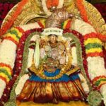 శ్రీ పద్మావతీ అమ్మవారి ఆలయంలో విశేష ఉత్సవాలు