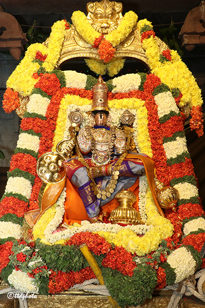 శ్రీవారి పవిత్రోత్సవాలకు శాస్త్రోక్తంగా అంకురార్పణ