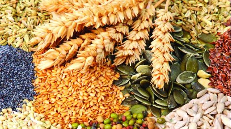 80 శాతం సబ్సిడీతో1.31 లక్షల క్వింటాళ్ల విత్తనాలు